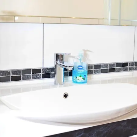 Flat Strasbourg - Europapark / Wallaston