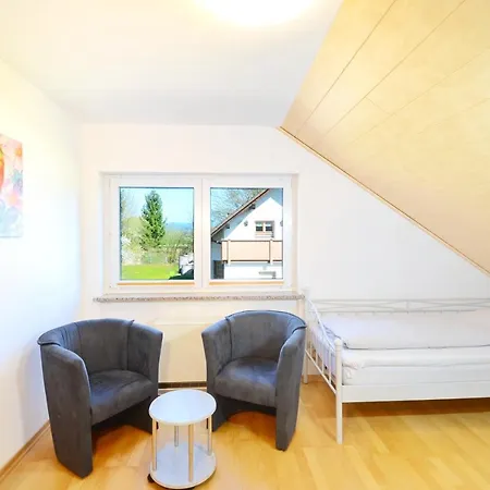 Flat Strasbourg - Europapark / Wallaston Apartment Offenburg