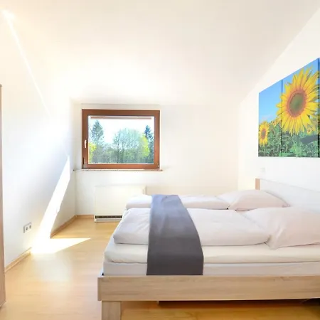 Flat Strasbourg - Europapark / Wallaston