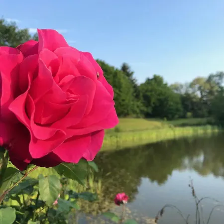 Daire Flat Strasbourg - Europapark / Wallaston *