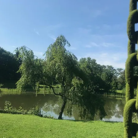 Flat Strasbourg - Europapark / Wallaston *