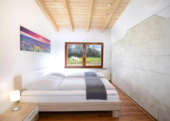 Flat Strasbourg - Europapark / Wallaston