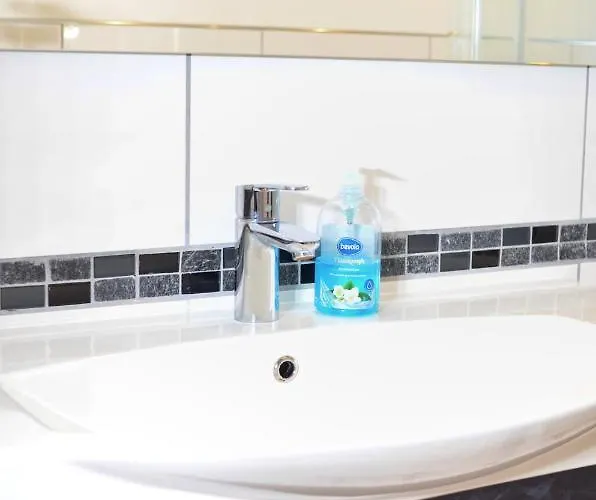 Flat Strasbourg - Europapark / Wallaston