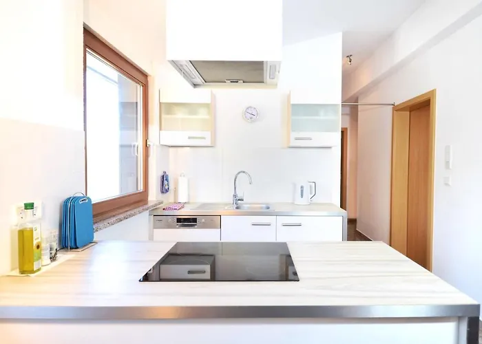 Flat Strasbourg - Europapark / Wallaston *