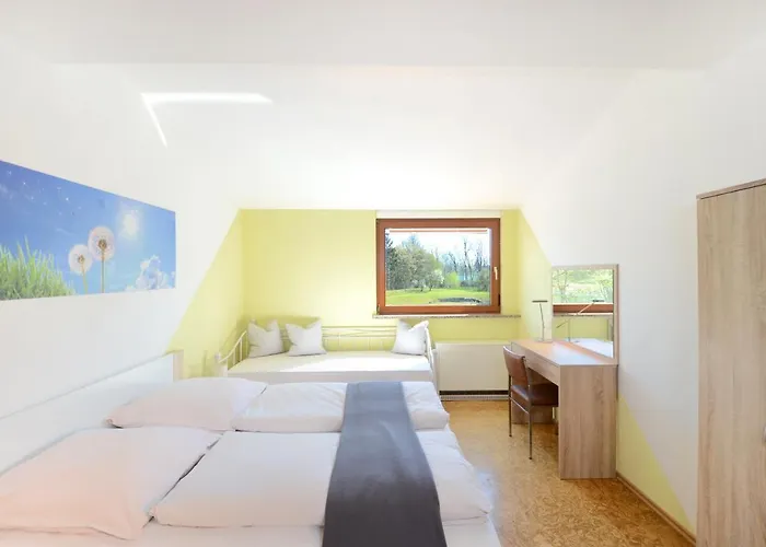 Flat Strasbourg - Europapark / Wallaston Offenburg