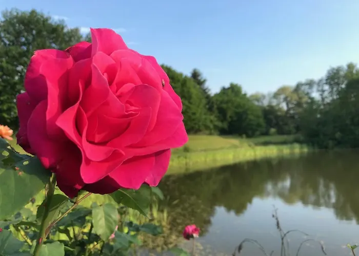 Appartamento Flat Strasbourg - Europapark / Wallaston *